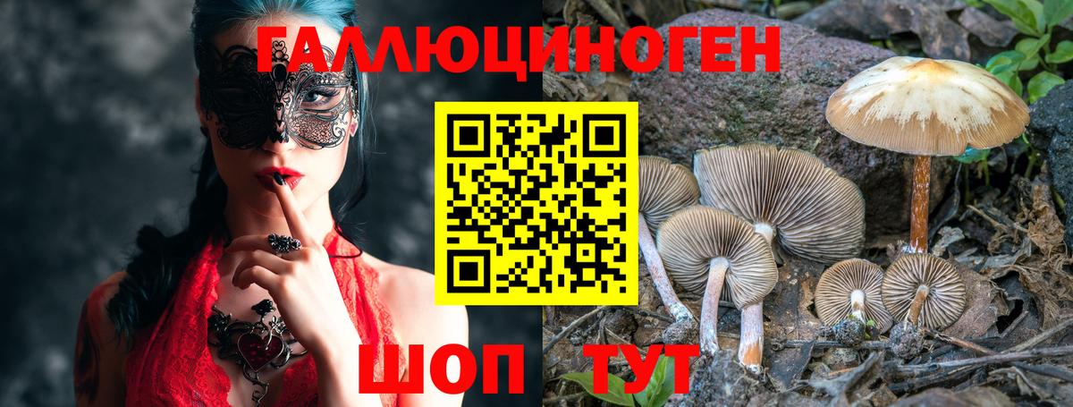 Большой Камень  Псилоцибиновые грибы мицелий  Галлюциногенные грибы мицелий  как найти закладки  Вход с VPN 